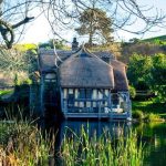 pexels-photo-30682531