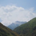 pexels-photo-35050549