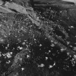 pexels-photo-10740601