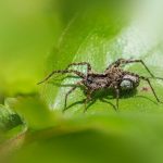 pexels-photo-36000803